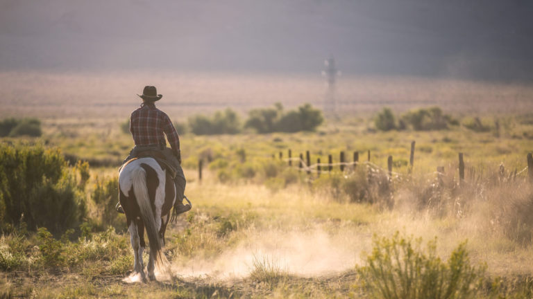 Texaanse cowboy - Rondreis Texas |US Travel