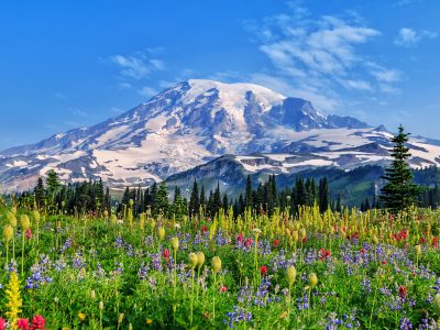Mount Rainier - Rondreis door veelzijdig Oregon | US Travel